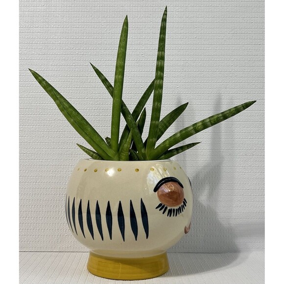 Big Bulgy Eye Face Ceramic Pedestal Planter Flower Pot Multi HANDMADE - Picture 6 of 17